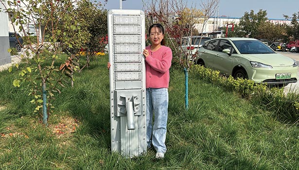 solar-led-street-light