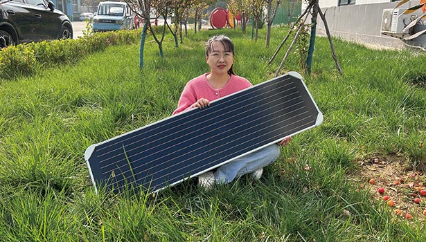 solar-street-light