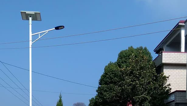 Solar street lights installed along a rural road for sustainable lighting