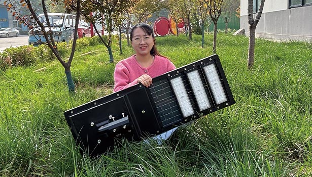 30W Solar LED Street Light