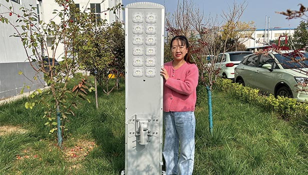 Commercial solar street lights