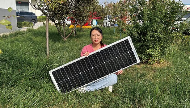 solar street light with battery and panel