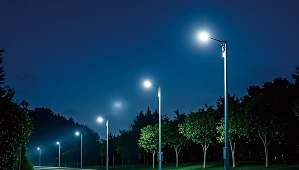 park illuminated by solar street lights