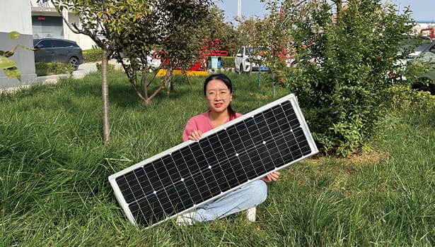 Integrated solar LED street light for smart city