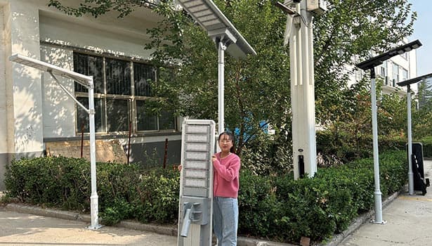 Eco-friendly solar-powered street lights