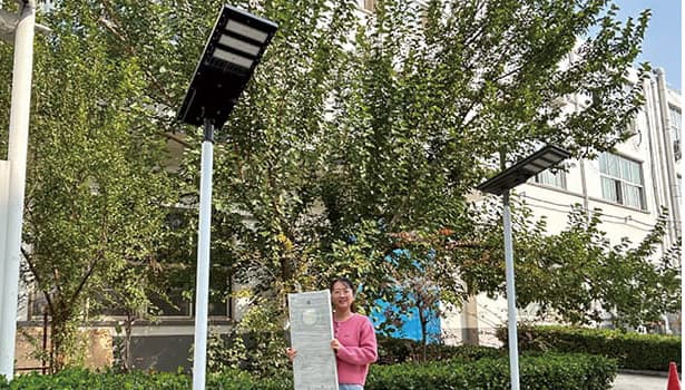 Energy-efficient solar street lighting solution for urban streets