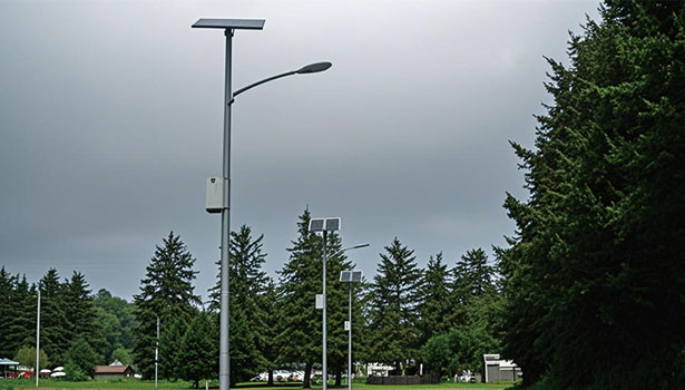Solar street lights under a cloudy sky in a green, tree-filled area