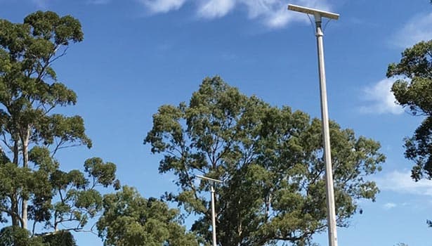 Solar street light among trees, showing outdoor installation in a greenery-rich area