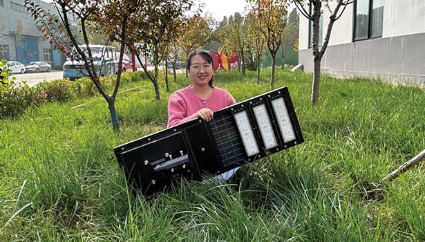 Person showing solar streetlight part