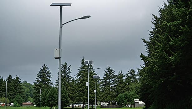 Multiple solar street lights installed in park surrounded by tall trees
