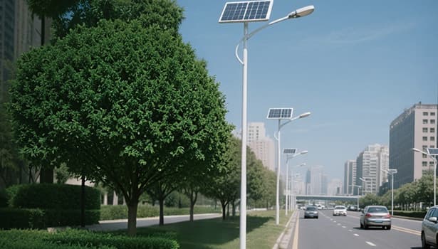 Solar street lights installed along an urban road with trees, buildings, and passing cars