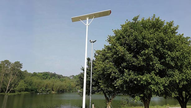 80W solar street light installed by the lake, showcasing its application in a natural urban environment
