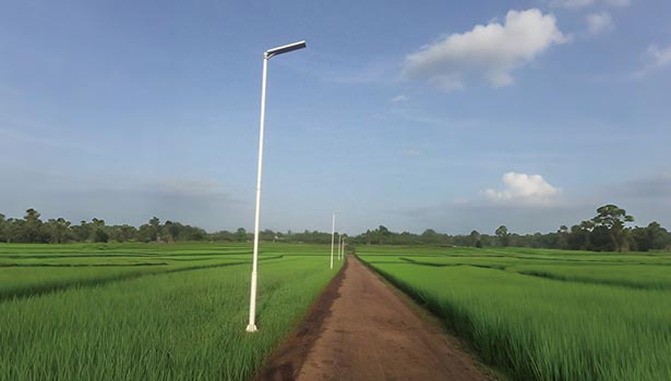 Solar street light installed along a rural dirt road amidst lush green rice fields under a clear blue sky