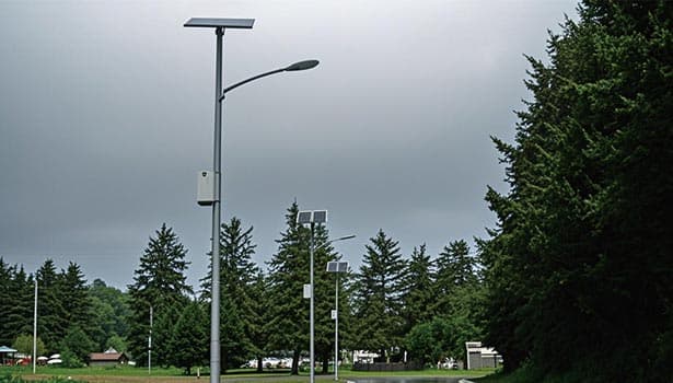 Solar street lights installed in a park - like area under an overcast sky, demonstrating real - world outdoor application