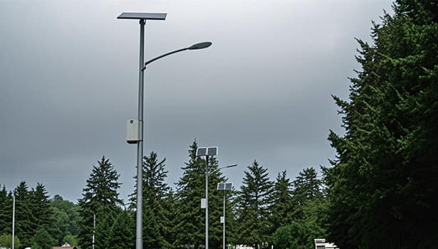 Solar street lights set up in a park surrounded by trees on a cloudy day