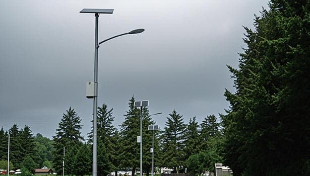 Daytime view of solar street light poles with panels in a park, showcasing eco-friendly renewable energy technology.