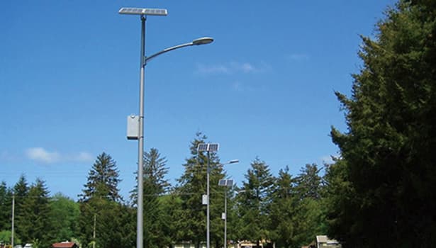 Solar street lights with panels inspected on a sunny day, emphasizing trimming nearby trees to avoid shading in summer.