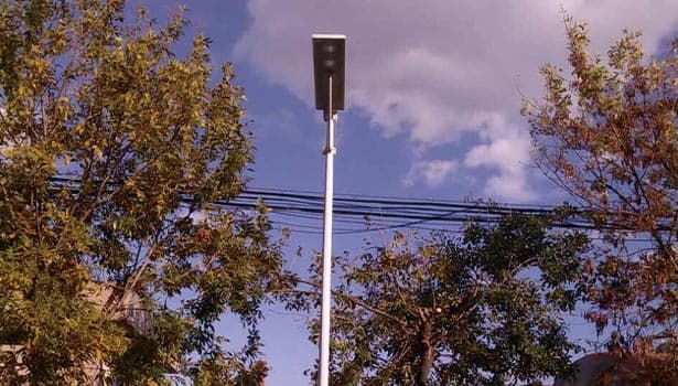 Solar street light installed among trees with partial shade