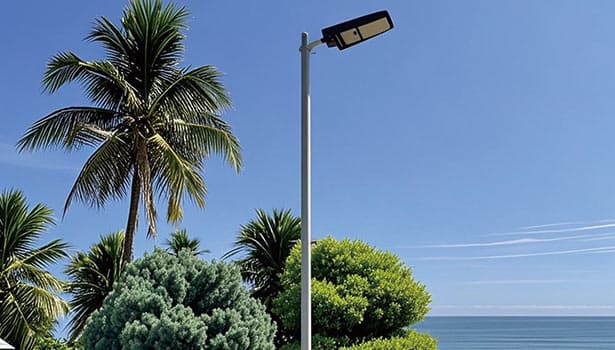 Solar street light installed in tropical seaside area with palm trees