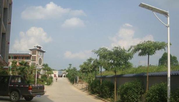 Solar street light installed along a campus road 