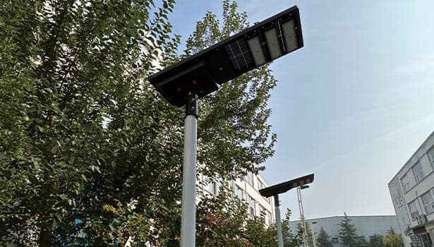 Integrated solar street light installed in a residential community with trees, designed for energy-efficient neighborhood lighting.