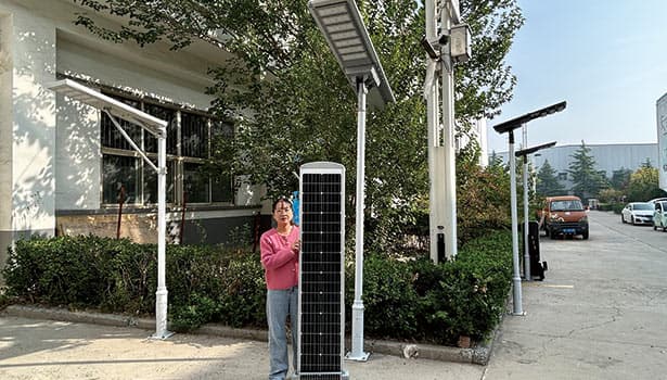 Different types of solar street lights and components showcased in a factory yard, highlighting product variety and design options.