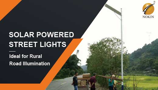 solar-street-lights-ideal-for-rural-road-illumination