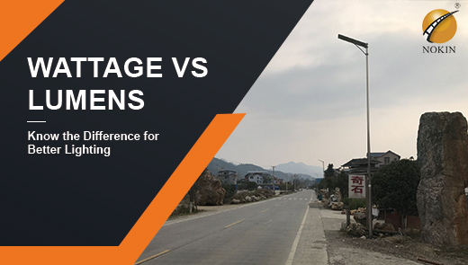 village-solar-led-street-light