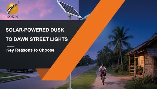 solar-powered-dusk-to-dawn-street-lights