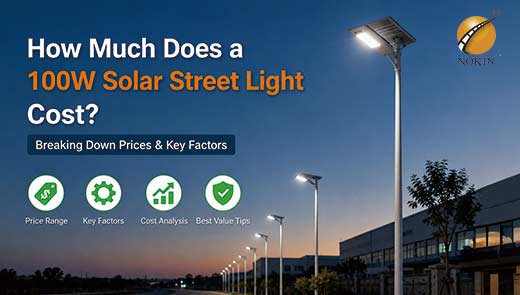 how-much-does-a-100w-solar-street-light-cost