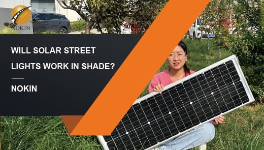 solar-street-lights-in-shade