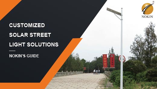 customized-solar-street-light-solutions